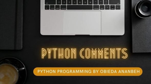 Comments in Python